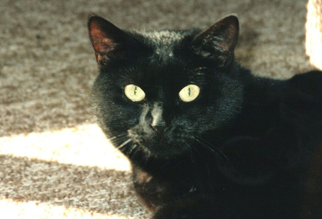 Aberglaube Beispiele: Alltag und ihre Bedeutung erklären