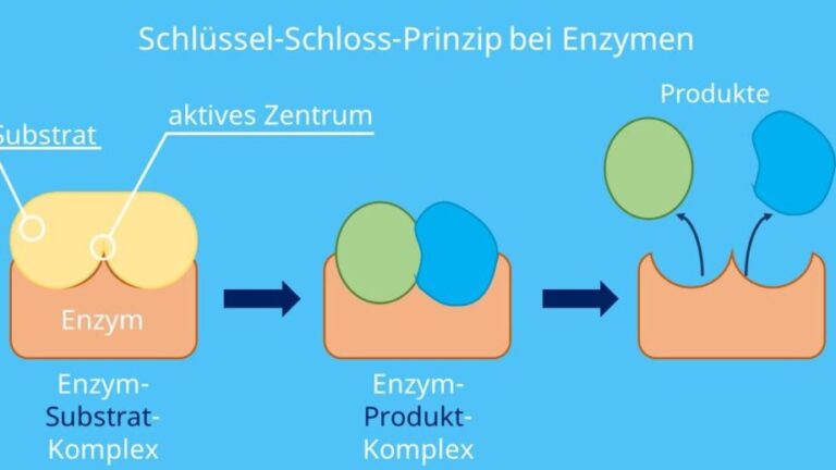 Schlüssel Schloss Prinzip Beispiele in der Praxis