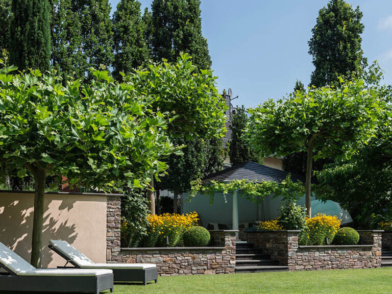 Strauch Beispiele für Garten und Landschaftsgestaltung